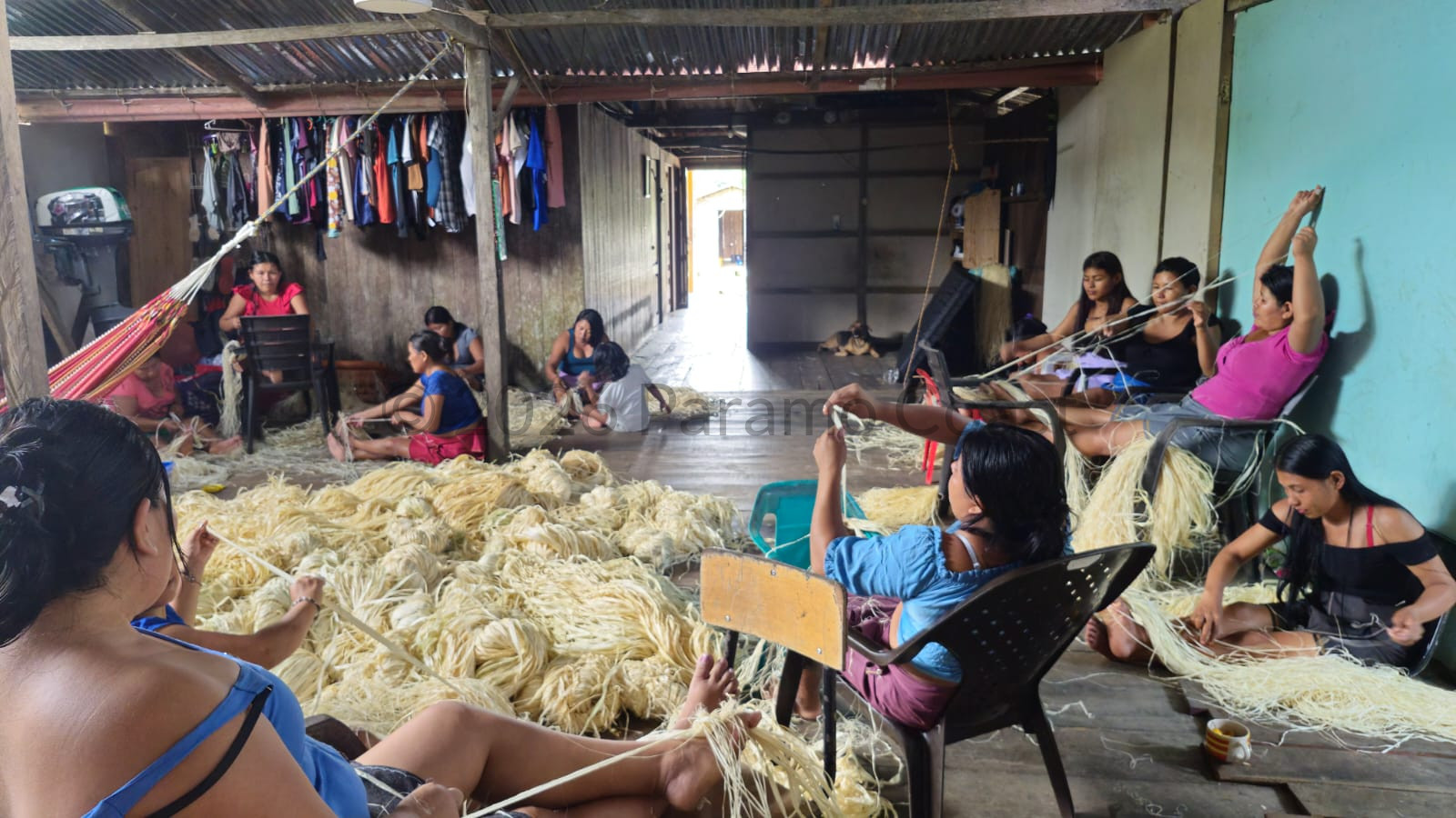 Wounaan artisans weaving werregue fiber in their workshop